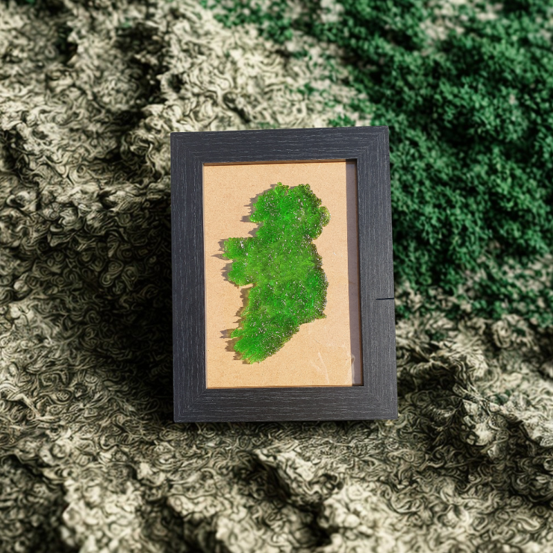 3D Map of Ireland 🇮🇪